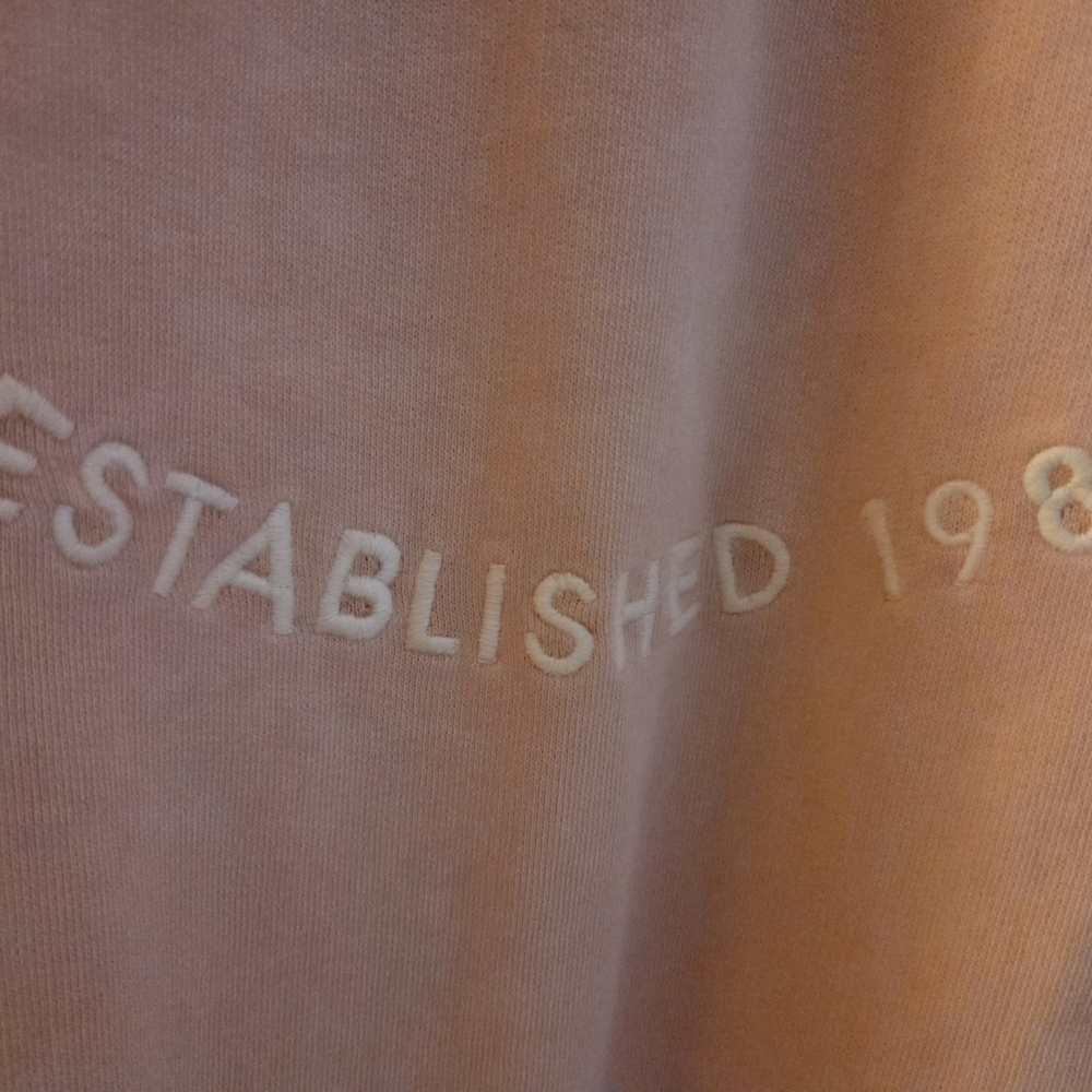 Guess Peach Hoodie with Embroidered Logo - Picture 7 of 15